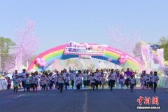 天津宝坻：三千中外跑者海棠花里踏春潮